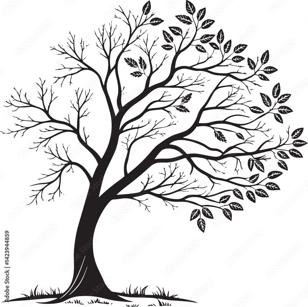 Obraz premium Small-Leaved Lime tree silhouette