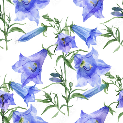 Campanula watercolor style blue purple bell flowers, white background, vector seamless pattern.