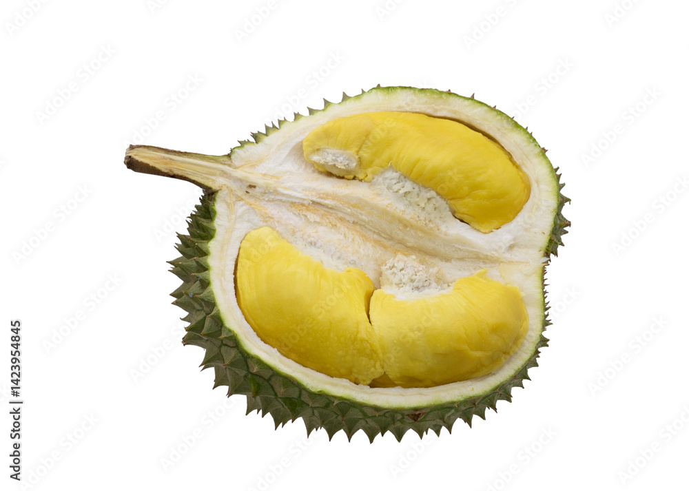 Obraz premium Sliced durian isolated on transparent background. Black thorn or Ochee durian.