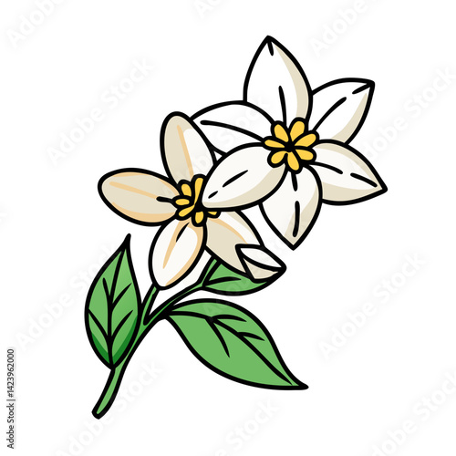 jasmine flower icon, jasmine flower vector illustration-simple illustration of jasmine flower, perfect for jasmine flower logos and icons