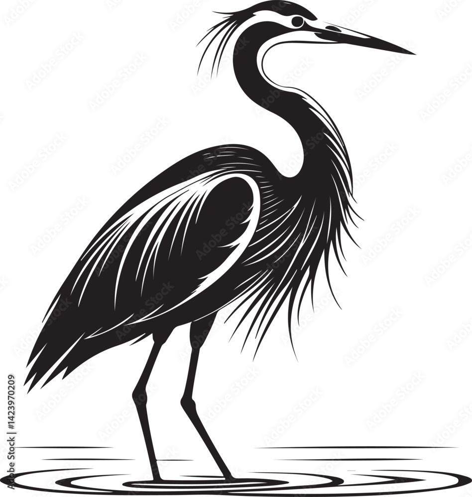 White Stork bird silhouette vector transparent background White Stork bird silhouette vector transparent background