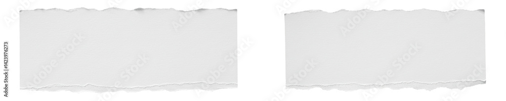 Two rectangular white paper scraps with jagged torn edges floating on white background Two rectangular white paper scraps with jagged torn edges floating on white background