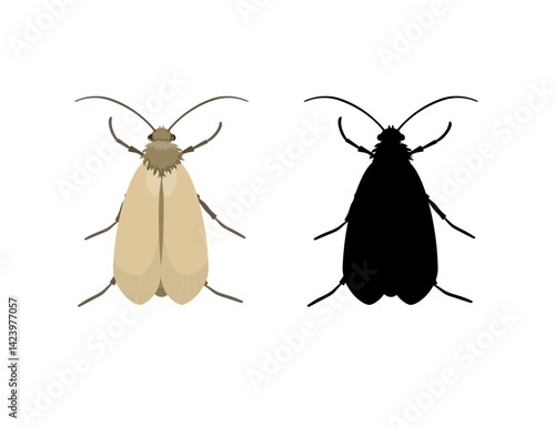 Webbing clothes moth and its silhouette isolated on white background