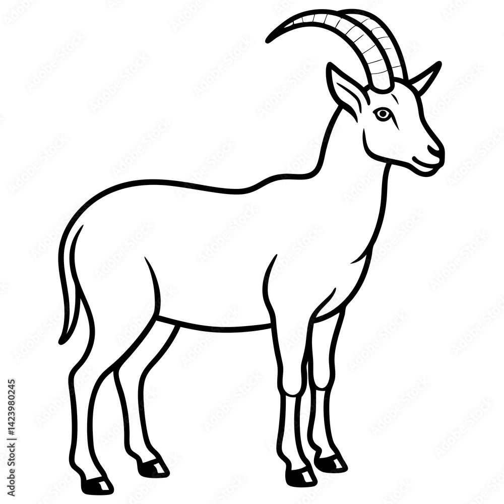 Minimalist Ibex Line Drawing Minimalist Ibex Line Drawing