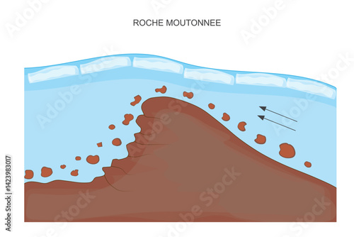A roche moutonnée is a glacially eroded rock formation with a smooth, gently sloping side and a rough, steep side, shaped by ice movement.