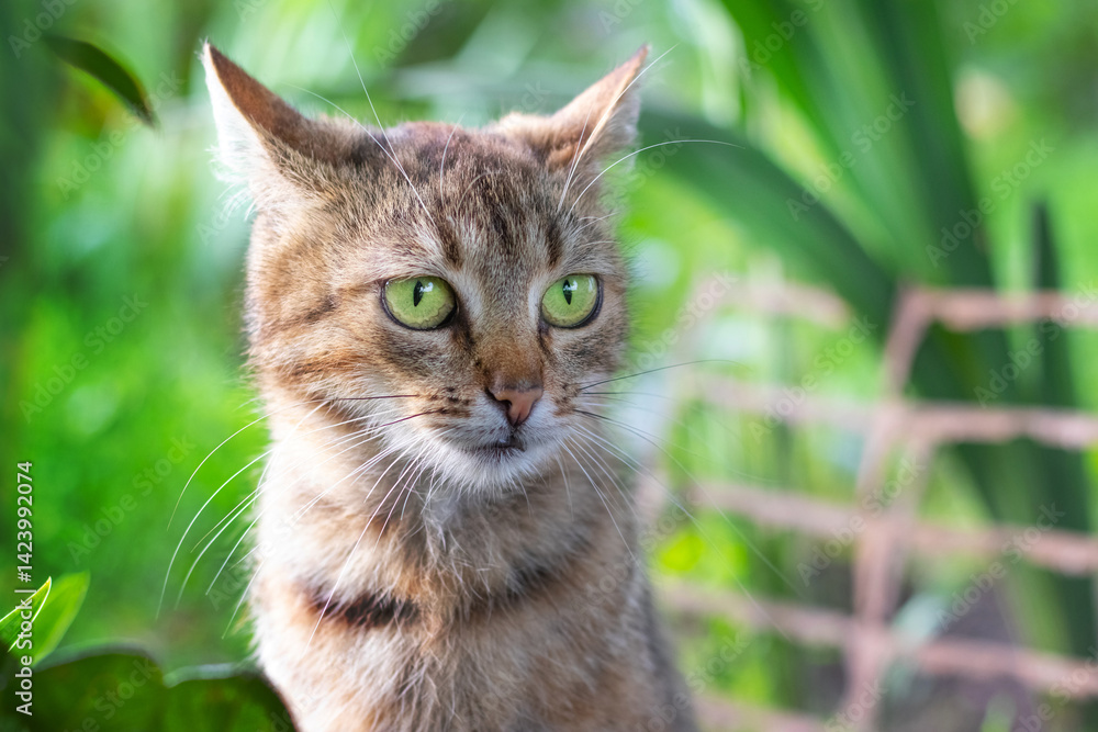 Alert portrait of a tabby cat with bright green eyes against a blurred green background of leaves, the watchful gaze of a domestic pet in a natural setting