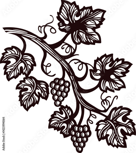 Vine branch with grapes and leaves in elegant black and white design.