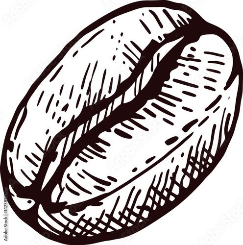 Detailed of a single coffee bean on a white background.
