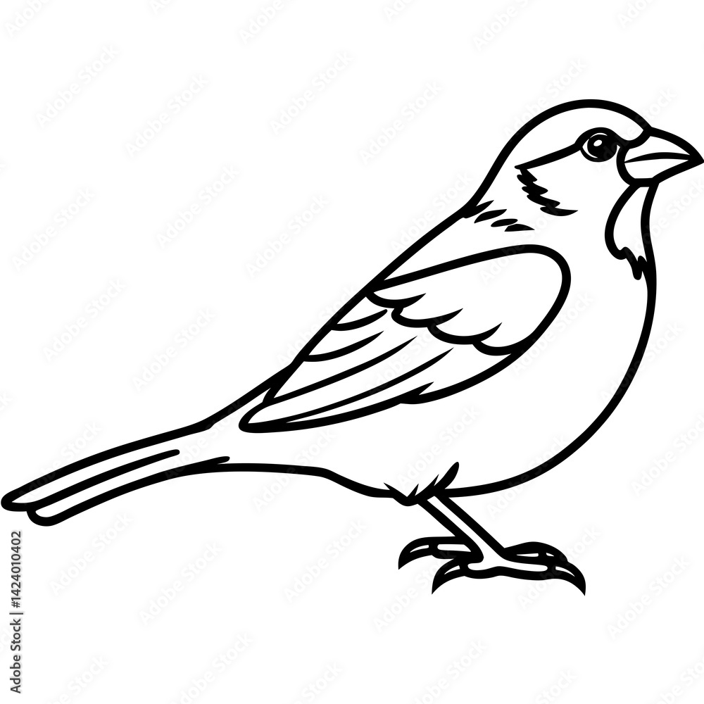 Obraz premium Minimalist Sparrow Line Art Vector