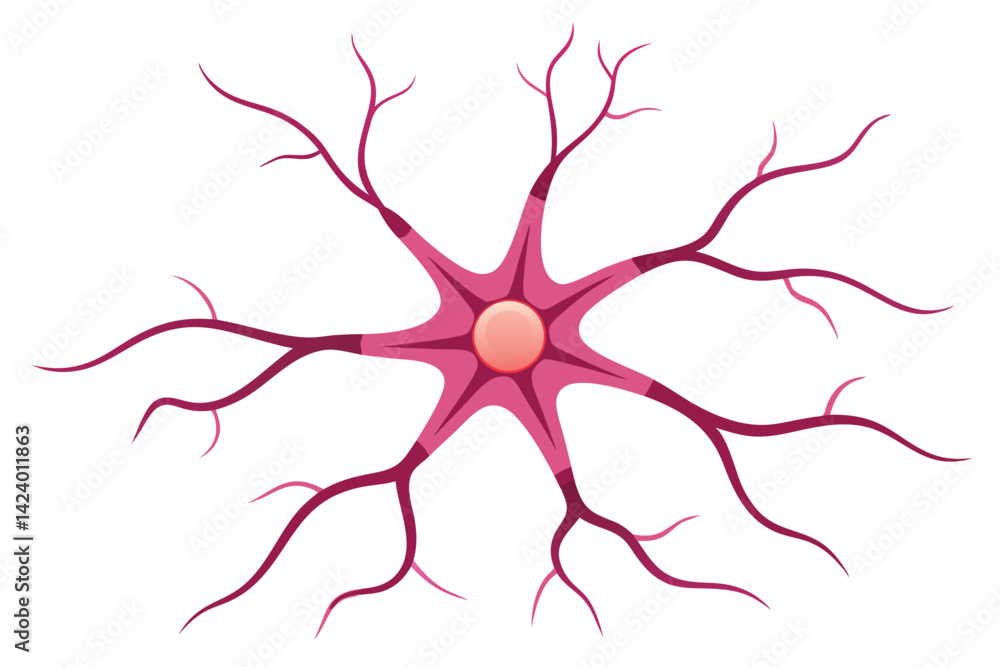 Fototapeta premium Neuron Cell on White Background with Pink Dendrites and a Circular Nucleus