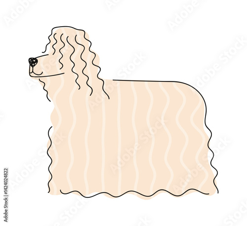 Afghan hound hand drawn dog