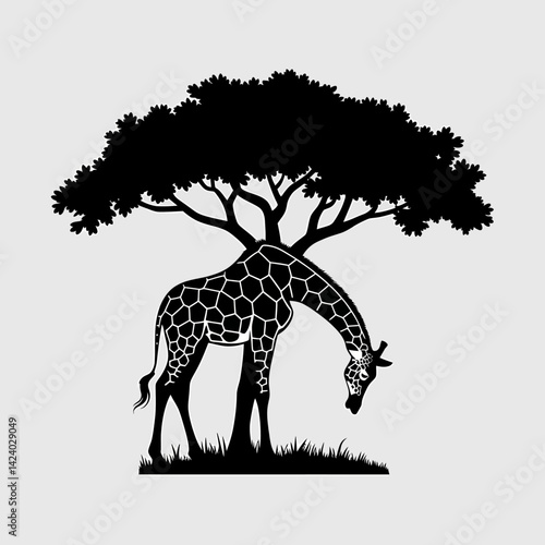 Silhouette Giraffe under Acacia Tree Grazing, African Wildlife Vector