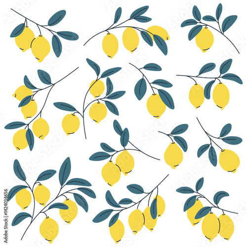 Set of lemon tree branches with ripe lemons. Perfect for summer, botanical and food designs.