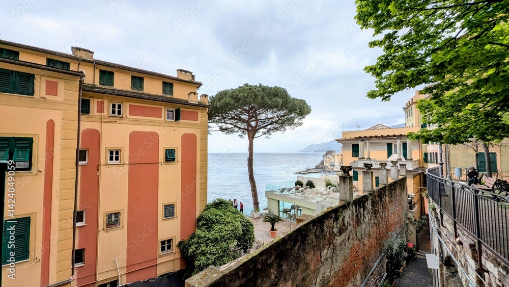 CAMOGLI (Ligurie-Italie)