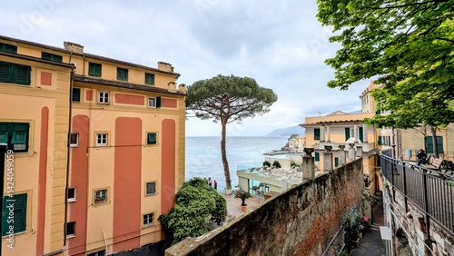 Obraz na płótnie CAMOGLI (Ligurie-Italie) w salonie