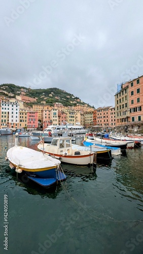 Obraz na płótnie CAMOGLI (Ligurie-Italie) w salonie