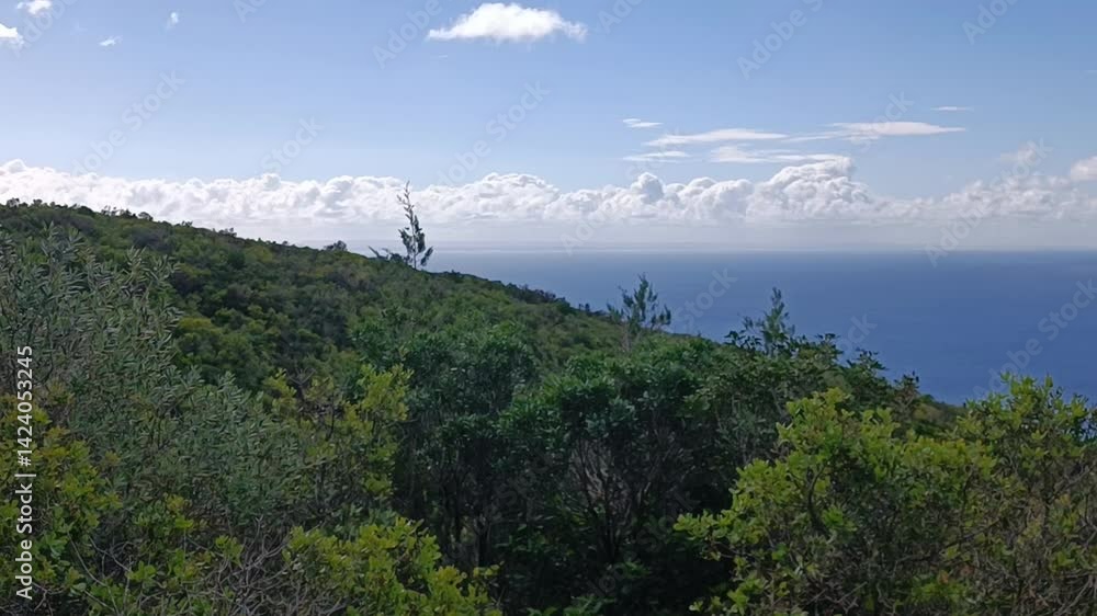 Paisagens de mar e campo