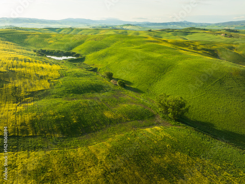 Rolling lush gree hills at Tuscany
