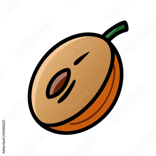 sapodilla fruit icon, sapodilla fruit vector illustration-simple illustration of sapodilla fruit, perfect for sapodilla fruit logos and icons