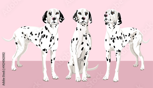 Dalmatian dogs vector illustration