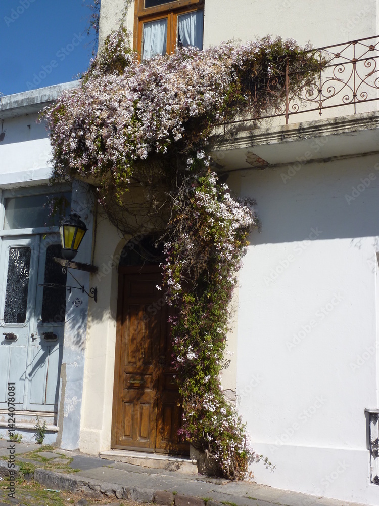 colonia de sacramento