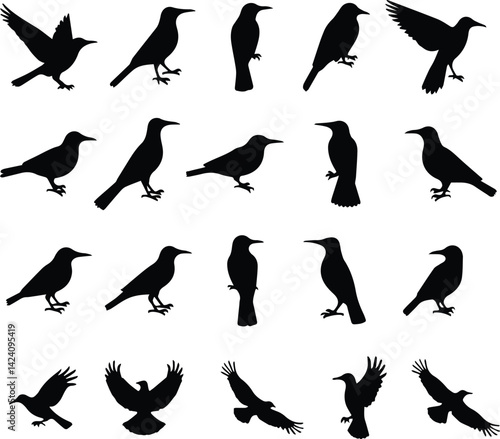 birds silhouettes vector icon illustration