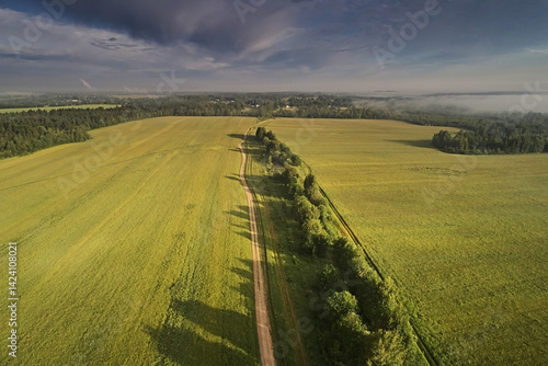 Fotografie Top view: road among meadows with trees  on a summer day