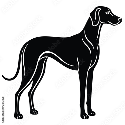 blound hound vector