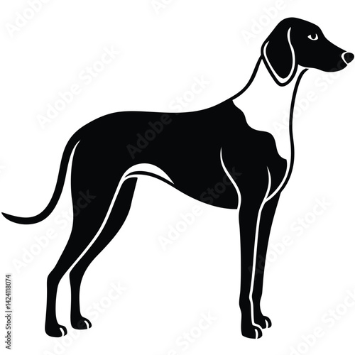 blound hound vector