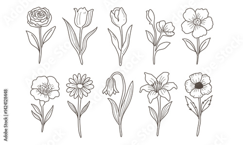Flower Line Art Set, 10 Hand-drawn Botanical Flower Illustrations