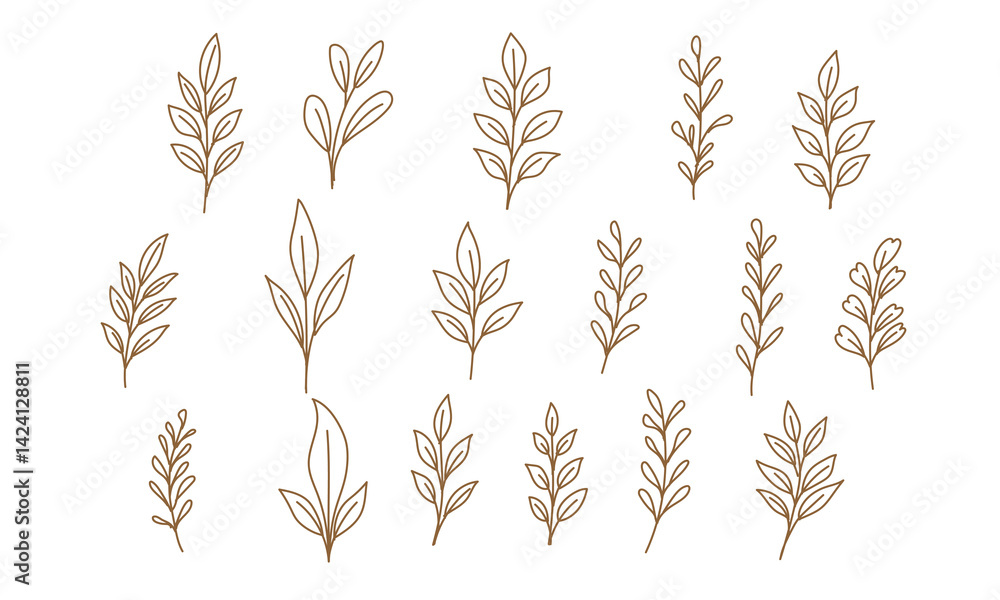 Rustic Botanical Leaf Collection Hand-drawn Minimal Line Art Leaves Rustic Botanical Leaf Collection Hand-drawn Minimal Line Art Leaves