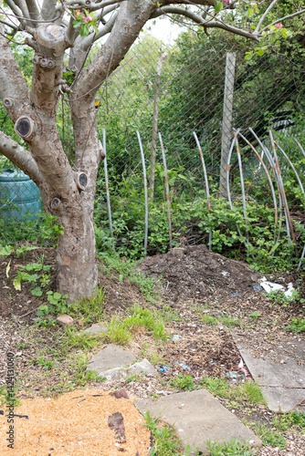 Wallpaper Mural The spring allotment Torontodigital.ca