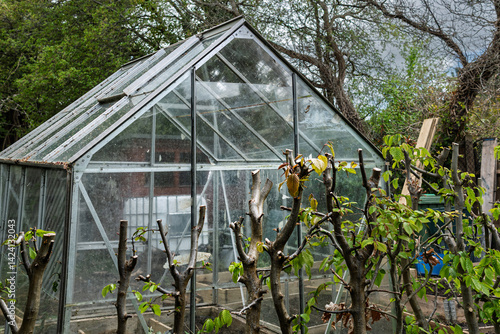 Wallpaper Mural The greenhouse is empty, waiting for summer Torontodigital.ca