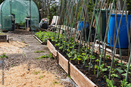 Wallpaper Mural Allotment in spring, the preparation. Torontodigital.ca