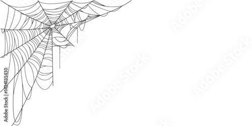 Spider web line art vector frame