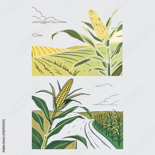 vector illustration of a corn plant