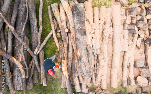 Lumberjack with a chainsaw cutting trees in the forest. Preparing firewood for winter. Top down view. Aerial view from drone
