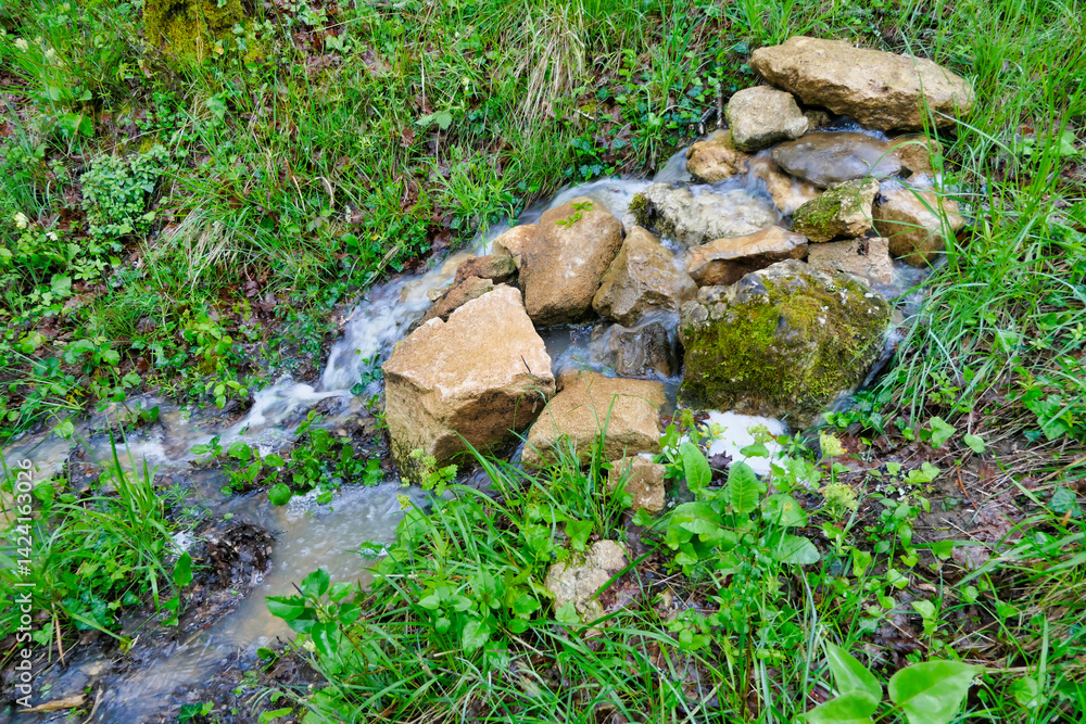 Water emerging from a woodland spring following a period of heavy rainfall
Water emerging from a woodland spring following a period of heavy rainfall