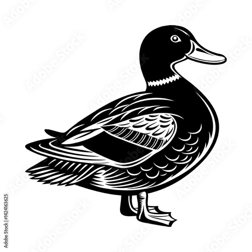 duck on white background
