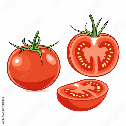 Red Tomato Vector Illustration With Halved And Quartered Slices Isolated On White