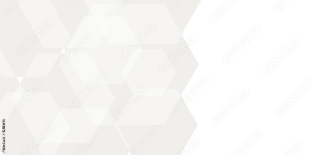 Luxury white and grey hexagonal abstract background with shadow. Geometric 3d texture illustration. Abstract hexagonal concept technology, banner and wallpaper background. Luxury white and grey hexagonal abstract background with shadow. Geometric 3d texture illustration. Abstract hexagonal concept technology, banner and wallpaper background.
