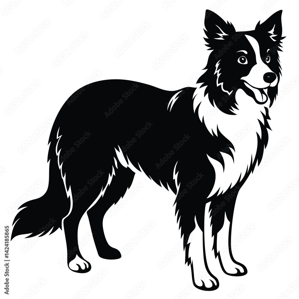 boorder collei vector boorder collei vector
