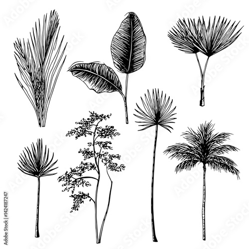 Hand-drawn vector illustration featuring various tropical plants and leaves. Perfect for nature-themed projects, botanical prints, and eco-friendly designs, both digitally and in print.