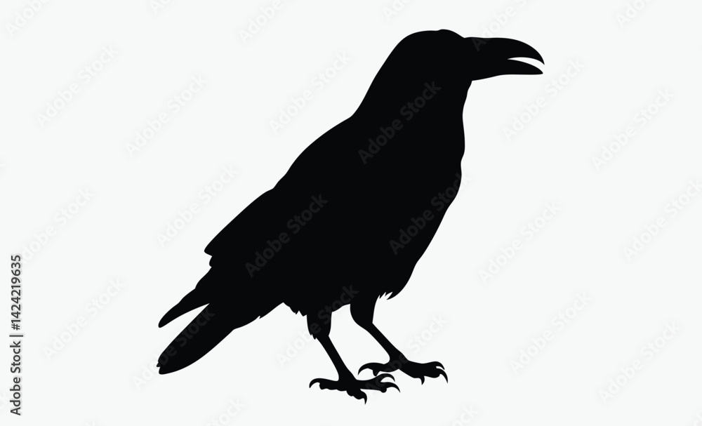 Raven silhouette, bird vector, black illustration Raven silhouette, bird vector, black illustration
