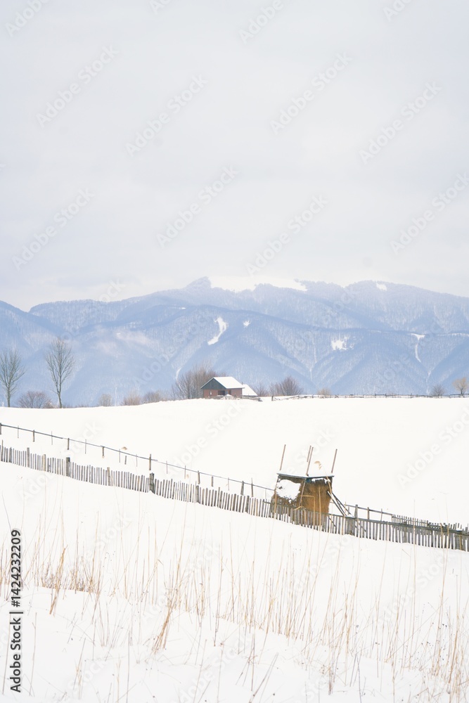 Obraz premium Winter Carpathian mountain landscape