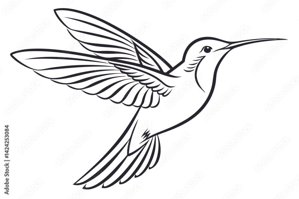 Obraz premium Elegant Hummingbird Illustration Black And White Line Art Vector Design