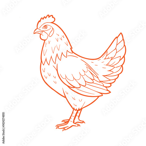 A white hen, a domestic fowl with red beak and feathers, stands isolated against a white studio background, common in poultry farming and agriculture
