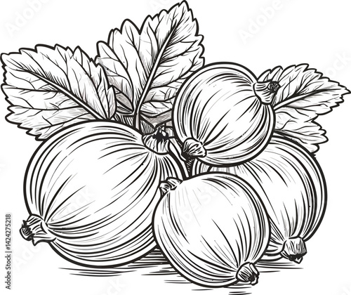 Wallpaper Mural Hand-drawn vector illustrations showcase fresh autumn vegetables like onion and pumpkin alongside ripe apples, isolated decorative food sketches Torontodigital.ca