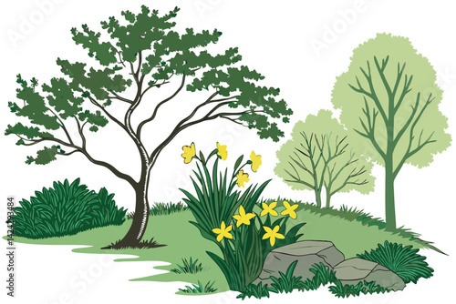19 Botanical illustration, garden elements, lush green trees, shrubs, yellow daffodils, grass patches, rocks, white background, vector style, clean lines, vibrant colors, landscaping design, nature co