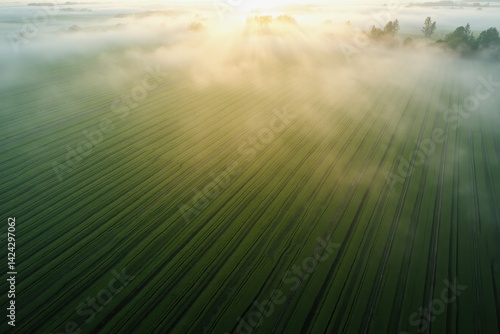 Obraz na płótnie Morning mist tranquil green fields w salonie